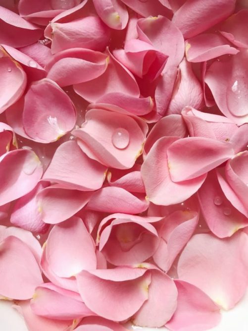 10 Benefits of Rose Water